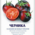 Томат (Помидор) обыкновенный Черника